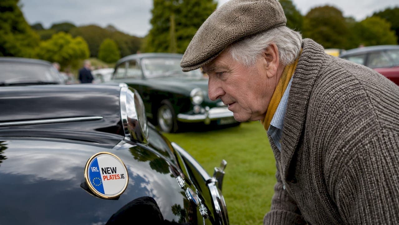 Show Plates Explained: What Irish Drivers Need to Know